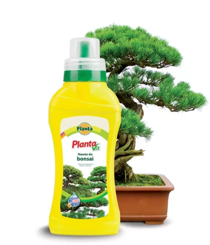 nawoz bonsai.webp