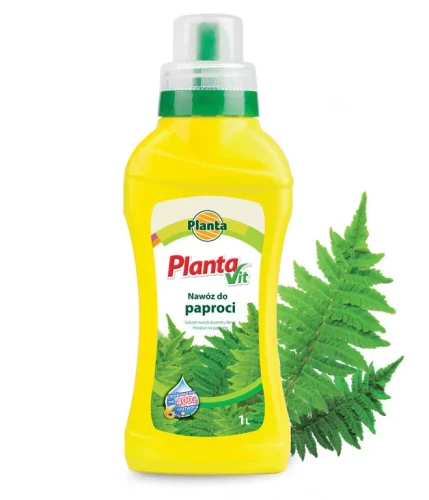 paproc nwoz.webp
