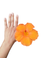 IMG_20240721_164445.png