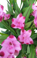 IMG_20240721_164016.png