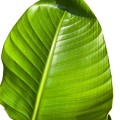 IMG_2634-Photoroom.jpg