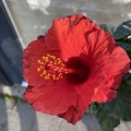 IMG_3057.jpg