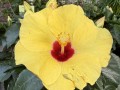 IMG_4889.jpeg
