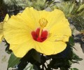 IMG_4961.jpeg