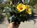 IMG_4962.jpeg