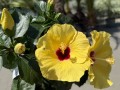 IMG_4955.jpeg