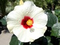 IMG_4951.jpeg