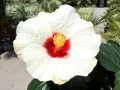 IMG_4952.jpeg