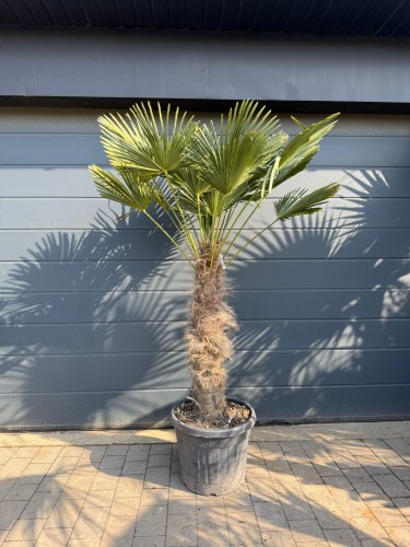 WhatsApp Image 2026-04-08 at 09.37.12 (3).jpeg