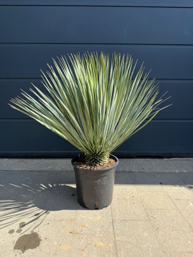 WhatsApp Image 2026-04-21 at 20.21.07.jpeg