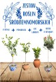 Zestaw roślin śródziemnomorskich 1. (1400 x 2048 px).jpg